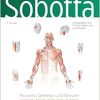 Sobotta Lerntabellen Anatomie Muskeln, Gelenke und Nerven, 4ed (True PDF)