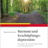 Burnout und Erschöpfungsdepression: Konzepte, Verursachungsmodelle, Therapieansätze (Original PDF from Publisher)