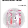 Die endovaskuläre Therapie peripherer Gefäßerkrankungen (UNI-MED Science) (Original PDF from Publisher)