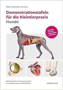 Demonstrationstafeln für die Kleintierpraxis Hunde (Original PDF from Publisher)