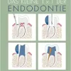 Das kleine 1×1 der Endodontie (Original PDF from Publisher)