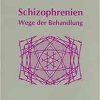 Schizophrenien: Wege Der Behandlung (German Edition) (Original PDF from Publisher)
