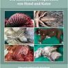 Die anatomische Präparation von Hund und Katze (Original PDF from Publisher)
