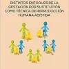 Distintos enfoques de la gestación por sustitución como técnica de reproducción humana asistida (Original PDF from Publisher)