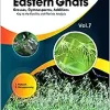 Flora of Eastern Ghats Vol 7: Grass Gymnosperms Additions Keys to the Families and Floristics Analysis (Original PDF from Publisher)