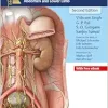 Thieme Dissector Volume 2: Abdomen and Lower Limb, 2nd Edition (Original PDF from Publisher)
