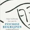 Kopzorgen. Psychose begrijpen (EPUB)
