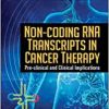 Non-coding Rna Transcripts in Cancer Therapy: Pre-clinical and Clinical Implications (Original PDF from Publisher)