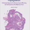 Fere Ex Nihilo — Ovarian Oncogenesis Recapitulates Phylogenesis: A Hormonal Approach to Ovarian Cancer Mirroring the Development of the Müllerian Tract (Original PDF from Publisher)