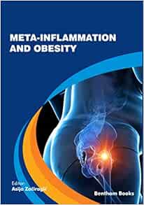 Meta-inflammation and Obesity (EPUB)