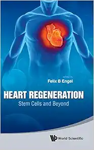 Heart Regeneration: Stem Cells and Beyond (Original PDF from Publisher)