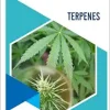 Terpenes (Medicinal Chemistry Lessons From Nature) (Original PDF from Publisher)