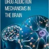 Drug Addiction Mechanisms in the Brain (Original PDF from Publisher)