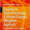 Enzymes in Textile Processing: A Climate Changes Mitigation Approach: Textile Industry, Enzymes, and SDGs (SDGs and Textiles) (EPUB)
