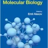 Approaches Of Computational Biophysics And Chemistry In Molecular Biology (EPUB)
