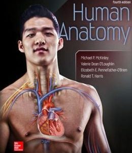 Human Anatomy, 4th Edition (McKinley)