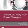 Spinal Cord Injury (SCI) Repair Strategies (Woodhead Publishing Biomaterials)