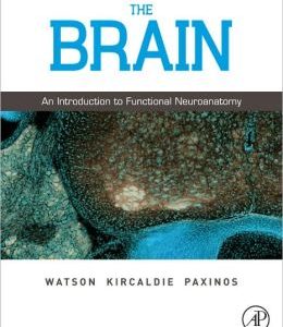 The Brain: An Introduction to Functional Neuroanatomy (ORIGINAL PDF from Publisher)