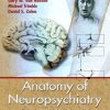 Anatomy of Neuropsychiatry: The New Anatomy of the Basal Forebrain and Its Implications for Neuropsychiatric Illness