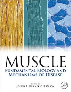 Muscle 2-Volume Set: Fundamental Biology and Mechanisms of Disease (ORIGINAL PDF from Publisher)