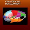 Craniofacial Development