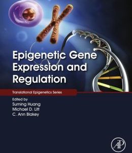 Epigenetic Gene Expression and Regulation
