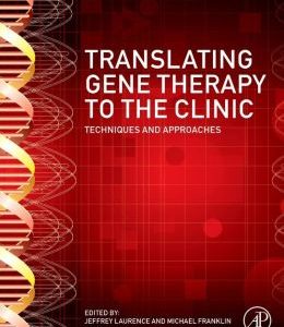 Translating Gene Therapy to the Clinic: Techniques and Approaches