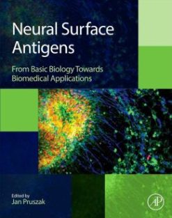 Neural Surface Antigens: From Basic Biology Towards Biomedical Applications