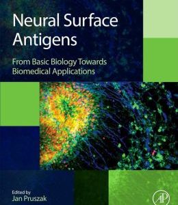 Neural Surface Antigens: From Basic Biology Towards Biomedical Applications