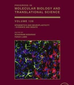Epigenetics and Neuroplasticity – Evidence and Debate, Volume 128