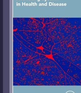 Waking and the Reticular Activating System in Health and Disease