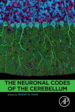 The Neuronal Codes of the Cerebellum