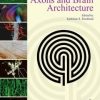 Axons and Brain Architecture