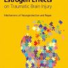 Estrogen Effects on Traumatic Brain Injury: Mechanisms of Neuroprotection and Repair (Original PDF from Publisher)