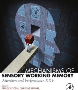 Mechanisms of Sensory Working Memory: Attention and Perfomance XXV