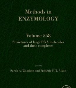 Structures of Large RNA Molecules and Their Complexes (Methods in Enzymology, Volume 558)