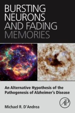 Bursting Neurons and Fading Memories (ORIGINAL PDF from Publisher)