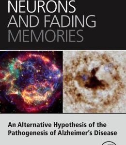 Bursting Neurons and Fading Memories (ORIGINAL PDF from Publisher)