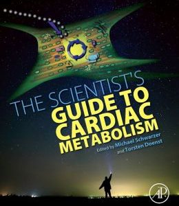 The Scientist’s Guide to Cardiac Metabolism