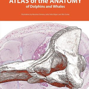 Atlas of the Anatomy of Dolphins and Whales (EPUB)