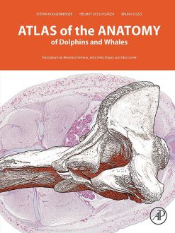 Atlas of the Anatomy of Dolphins and Whales (Original PDF from Publisher)