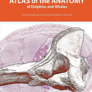 Atlas of the Anatomy of Dolphins and Whales (Original PDF from Publisher)