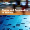 Stress and Epigenetics in Suicide (PDF)