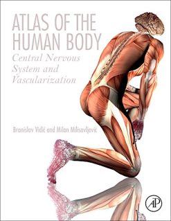 Atlas of the Human Body: Central Nervous System and Vascularization (Original PDF from Publisher)
