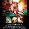 Fundamentals of Congenital Minimally Invasive Cardiac Surgery (Original PDF from Publisher)