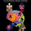 Comprehensive Overview of Modern Surgical Approaches to Intrinsic Brain Tumors (Original PDF from Publisher)