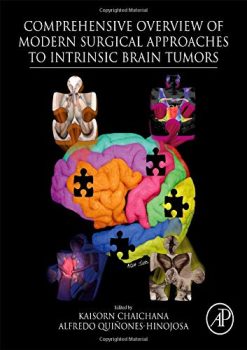Comprehensive Overview of Modern Surgical Approaches to Intrinsic Brain Tumors (Original PDF from Publisher)