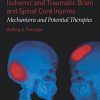 Ischemic and Traumatic Brain and Spinal Cord Injuries: Mechanisms and Potential Therapies (PDF)