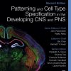 Patterning and Cell Type Specification in the Developing CNS and PNS: Comprehensive Developmental Neuroscience, 2nd Edition (EPUB)