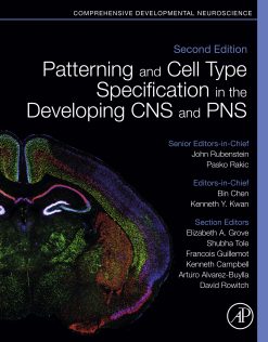 Patterning and Cell Type Specification in the Developing CNS and PNS: Comprehensive Developmental Neuroscience, 2nd Edition (Original PDF from Publisher)